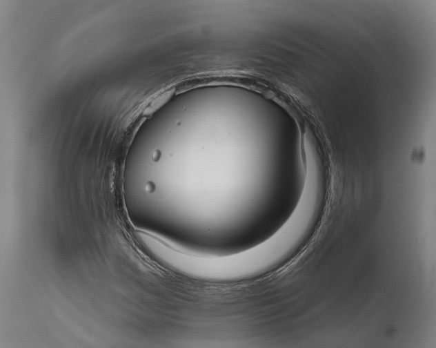 X0000111591161200908061343