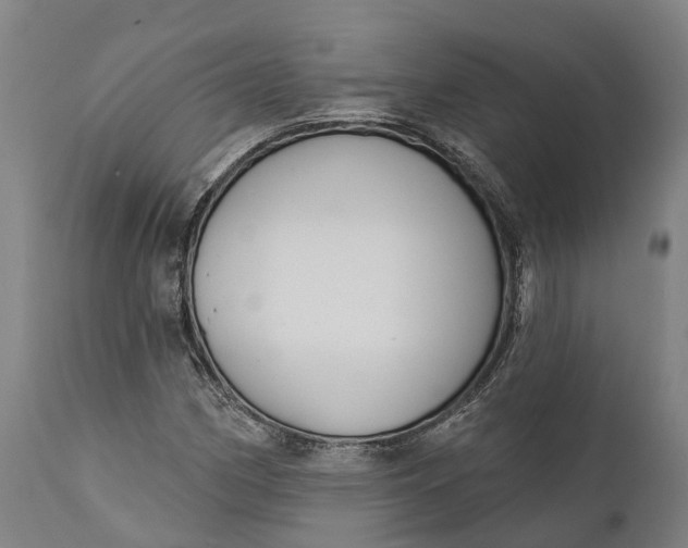 X0000111591162200908061343