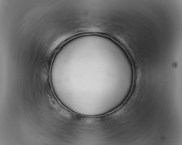 X0000111591163200908061343