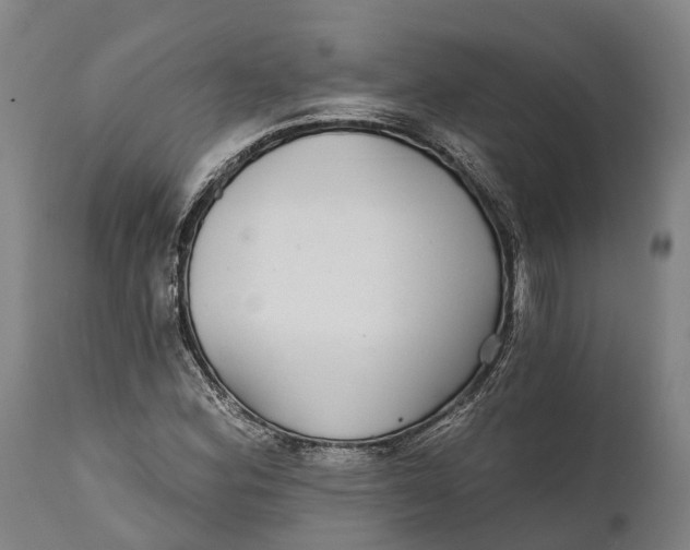 X0000111591164200908061343