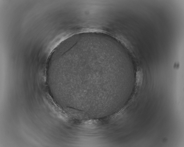 X0000111591165200908061343