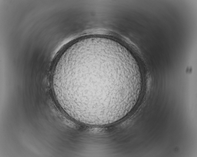 X0000111591166200908061342