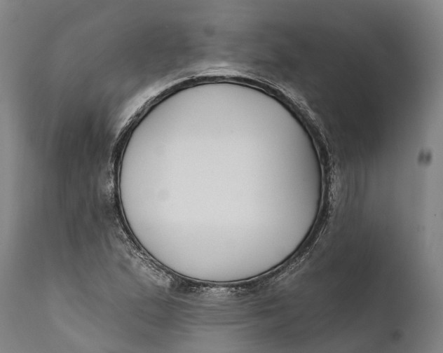 X0000111591167200908061342