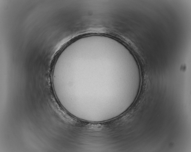 X0000111591168200908061342