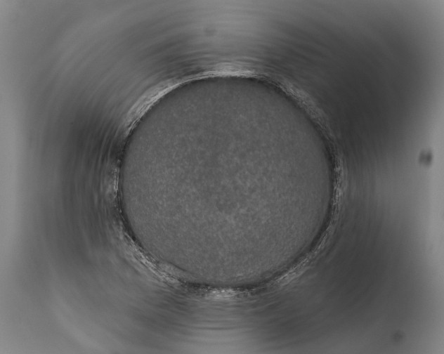 X0000111591169200908061342