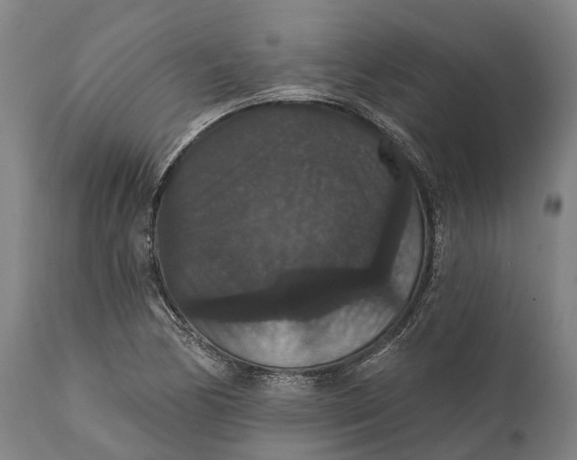 X0000111591170200908061342