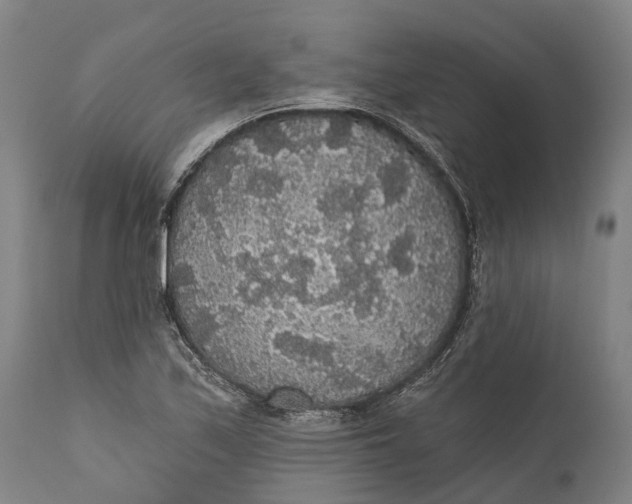 X0000111591171200908061342