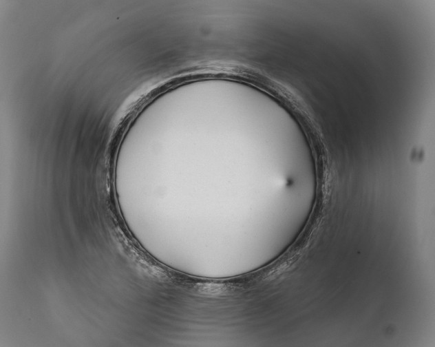 X0000111591172200908061342