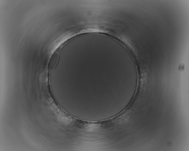 X0000111591173200908061342