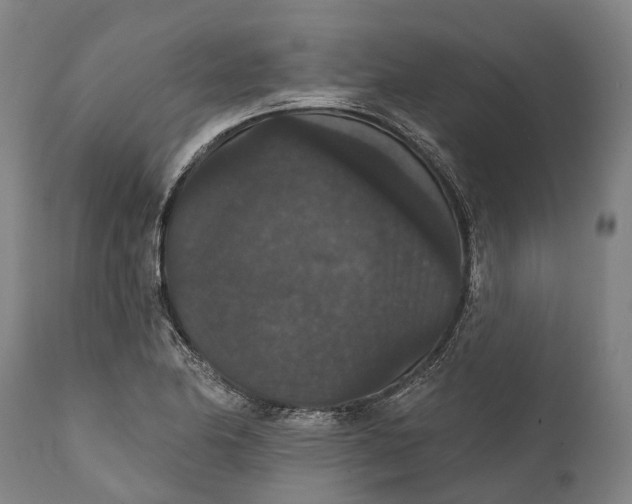 X0000111591174200908061342