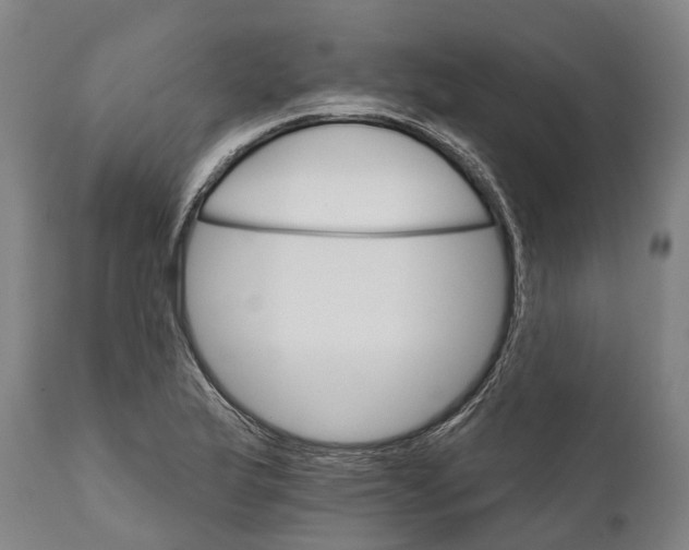 X0000111591175200908061342