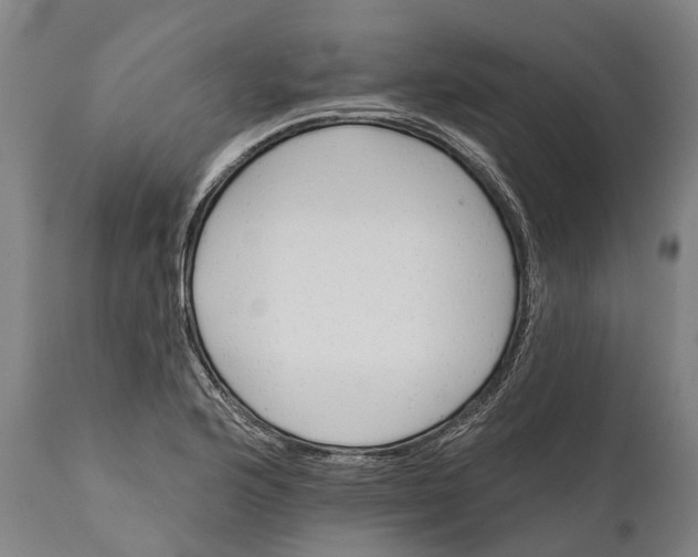 X0000111591176200908061342