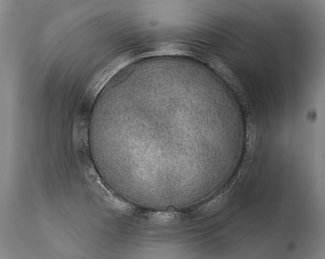 X0000111591177200908061342