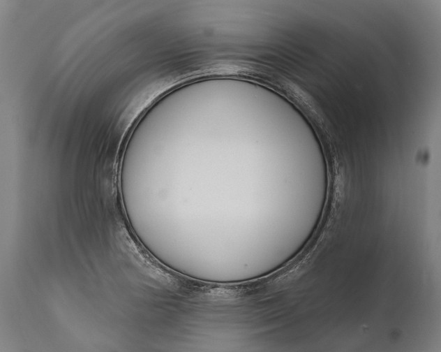 X0000111591178200908061342