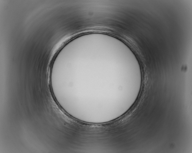 X0000111591180200908061342