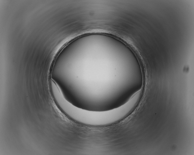 X0000111591181200908061342