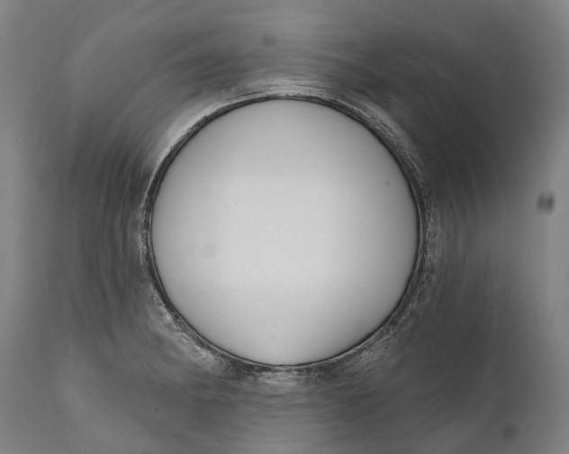 X0000111591182200908061342