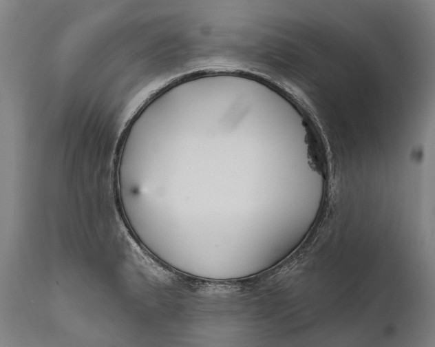 X0000111591183200908061342