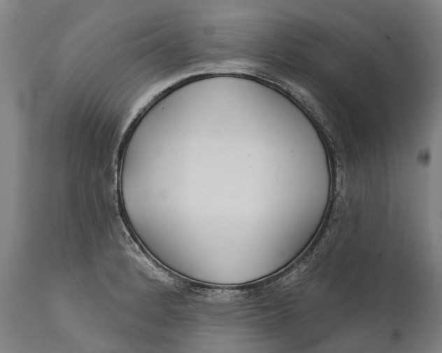 X0000111591184200908061342