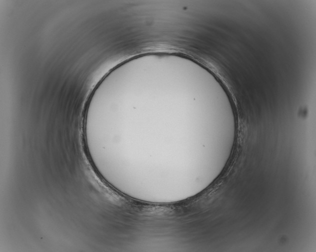 X0000111591187200908061342