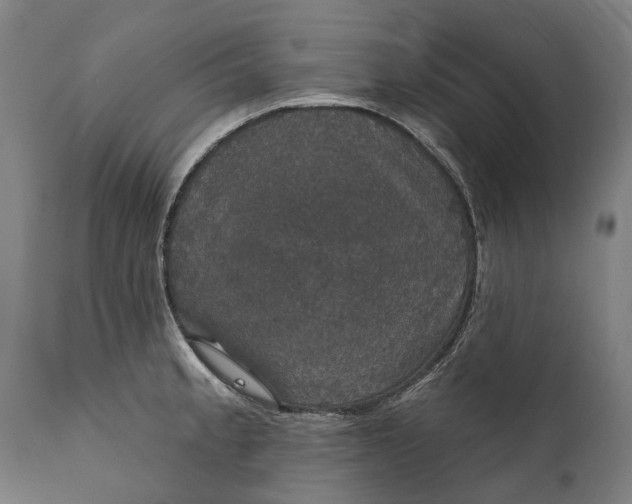 X0000111591189200908061342