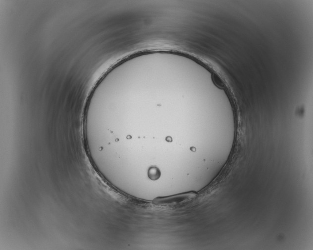 X0000111591191200908061342