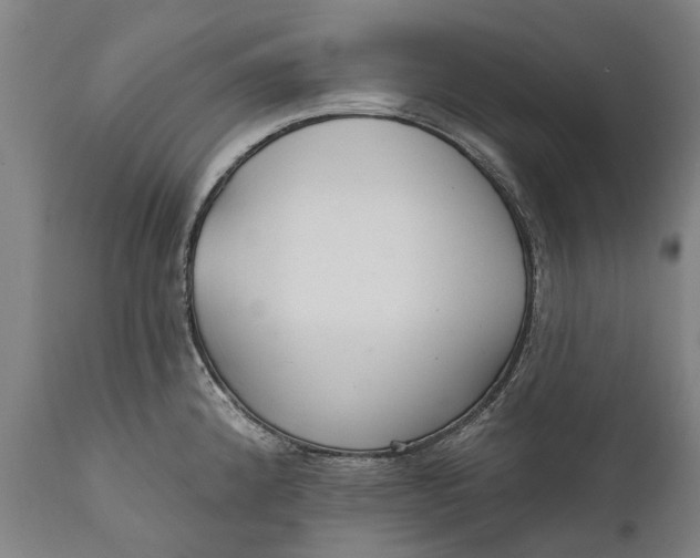 X0000111591192200908061342