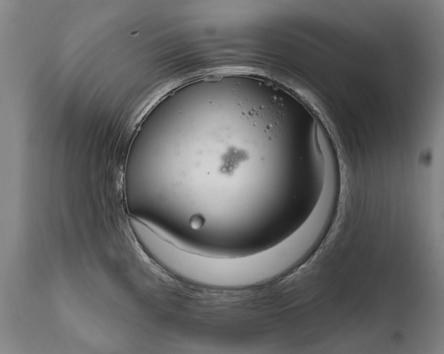 X0000111591193200908061342