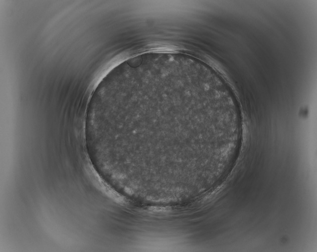 X0000111591194200908061342