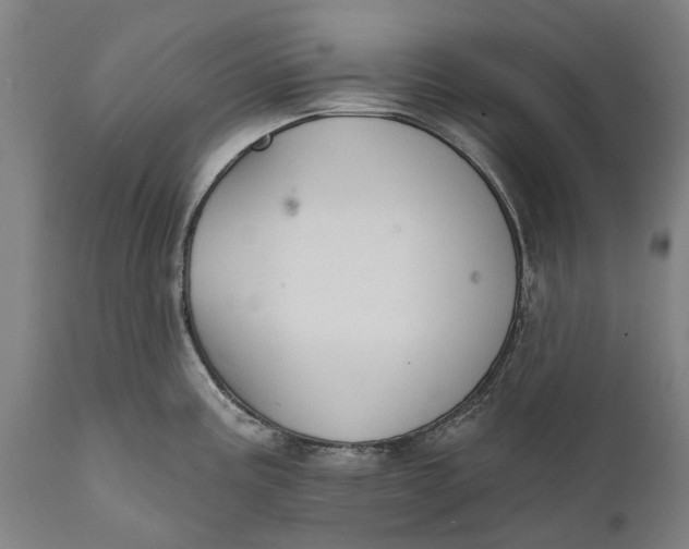 X0000111591195200908061342