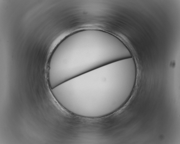 X0000111591196200908061342