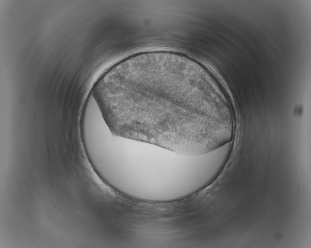 X0000111591197200908061342