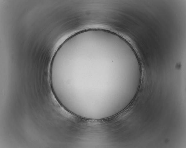 X0000111591199200908061342