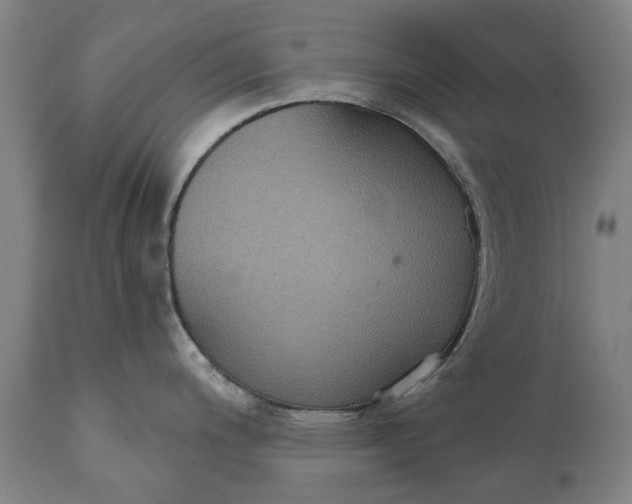 X0000111591200200908061342