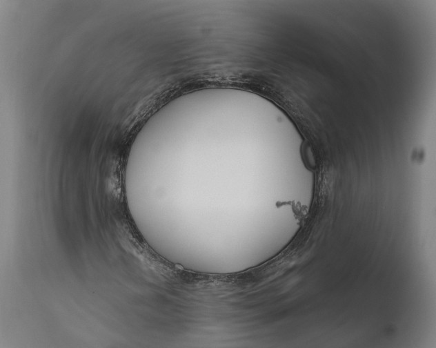 X0000111591202200908061341