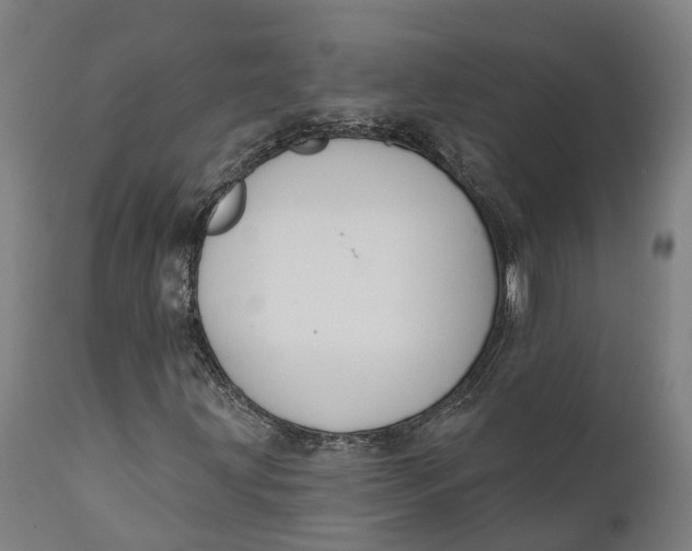 X0000111591203200908061341