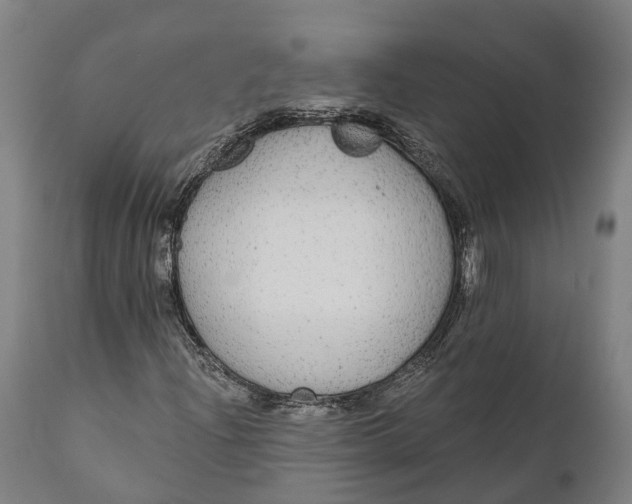 X0000111591204200908061341