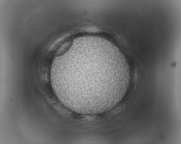 X0000111591205200908061341