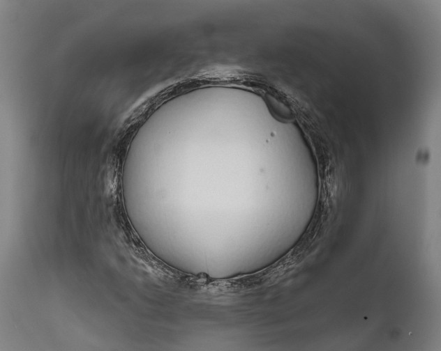 X0000111591206200908061341