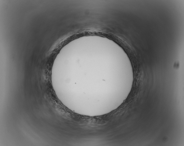 X0000111591207200908061341