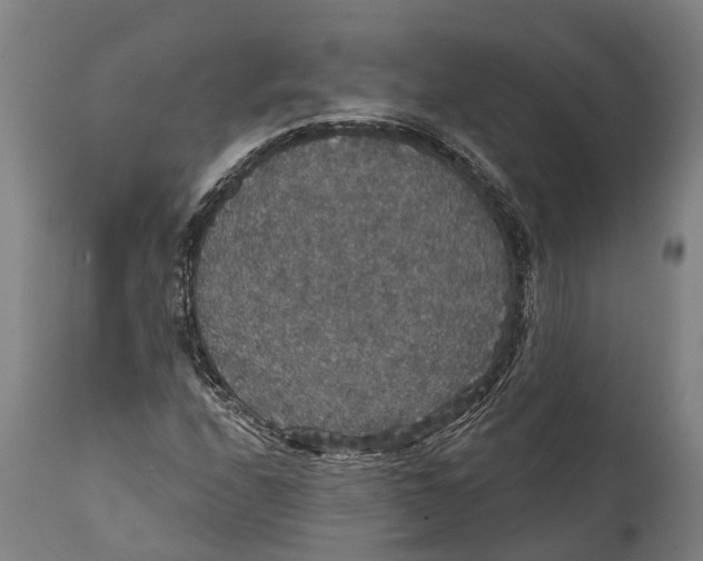 X0000111591208200908061341