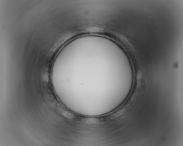 X0000111591209200908061341