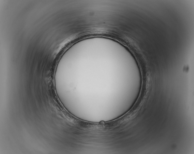 X0000111591210200908061341