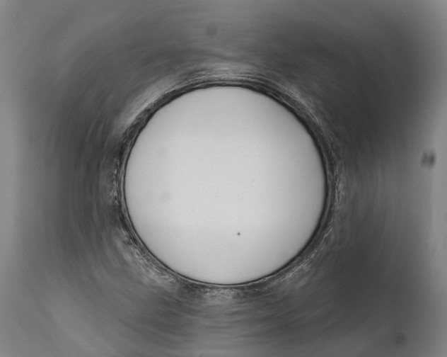 X0000111591211200908061341