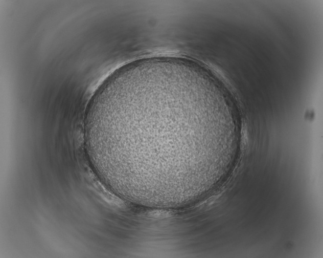 X0000111591212200908061341