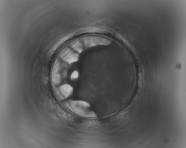 X0000111591213200908061341