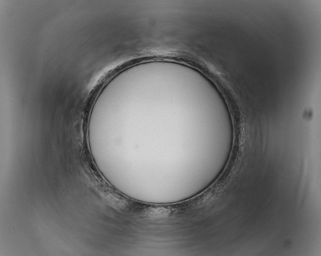 X0000111591214200908061341