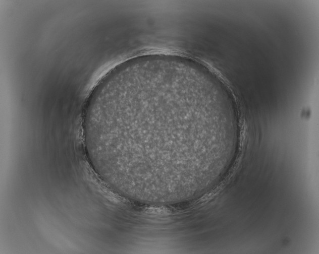 X0000111591215200908061341