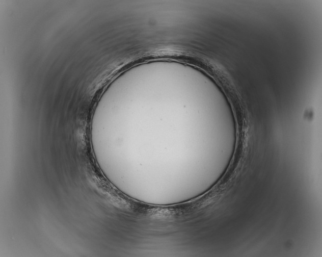 X0000111591217200908061341