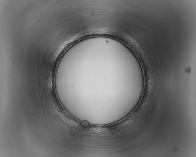 X0000111591218200908061341